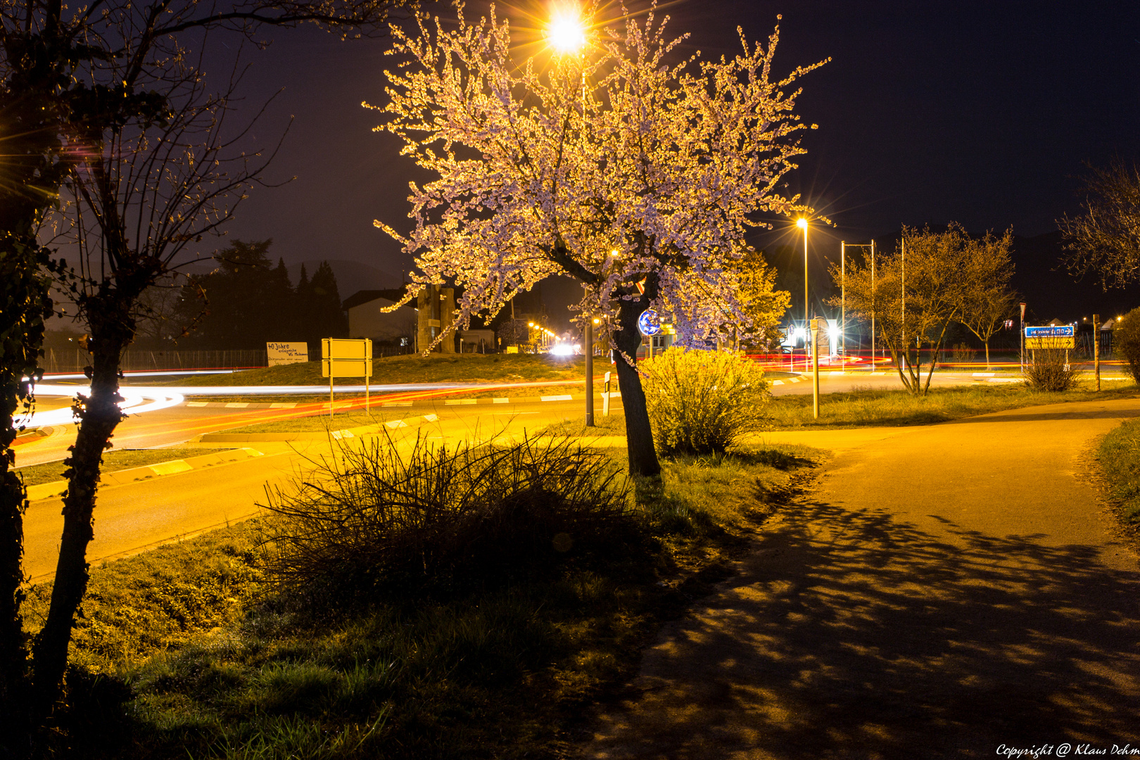 Mandelbaum blüht auch in der Nacht