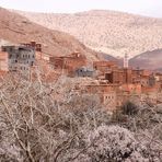 Mandelbluete Berge Kasbah maroc 