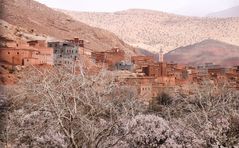 Mandelbluete Berge Kasbah maroc 