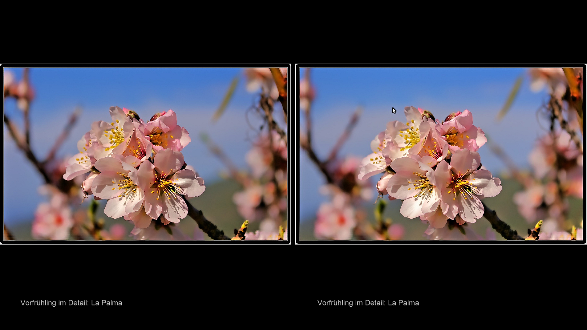 Mandelblüte La Palma in 3D (Kreuzblick) 