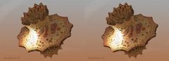 _ MANDELBULB 3D _ X View _