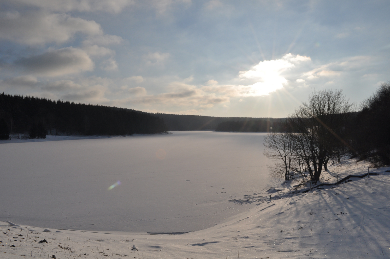 Mandelholz im Winter