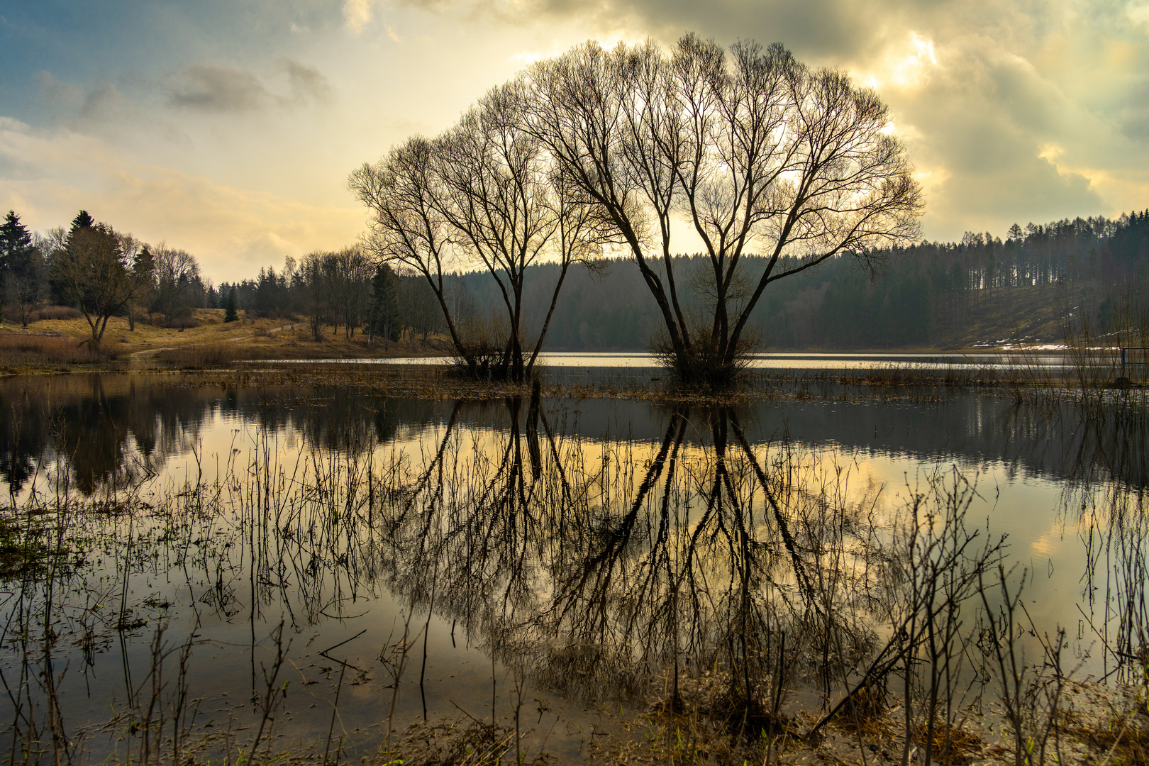 Mandelholztalsperre im Harz