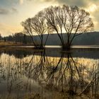 Mandelholztalsperre im Harz