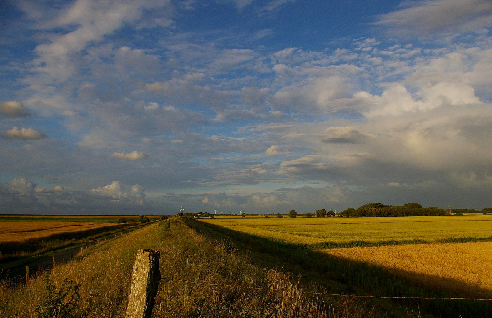 Mandelpolder am Abend.......Ostfriesland