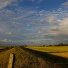 Mandelpolder am Abend.......Ostfriesland