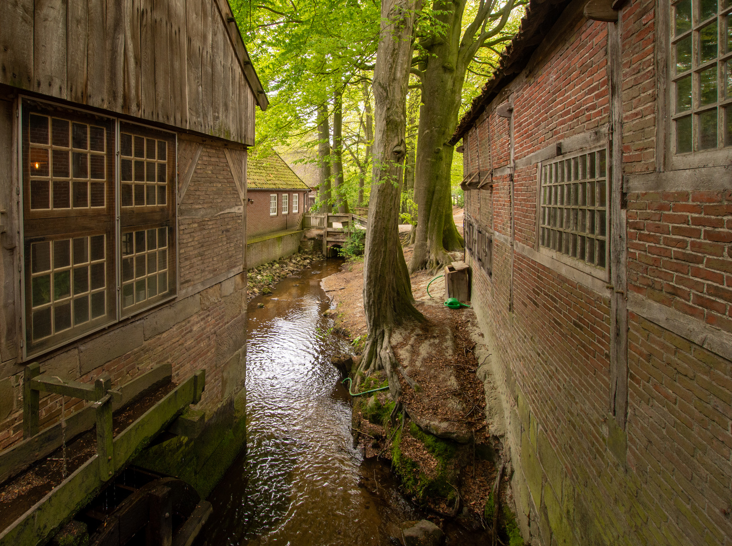 Mander - Watermolen Bels - 02