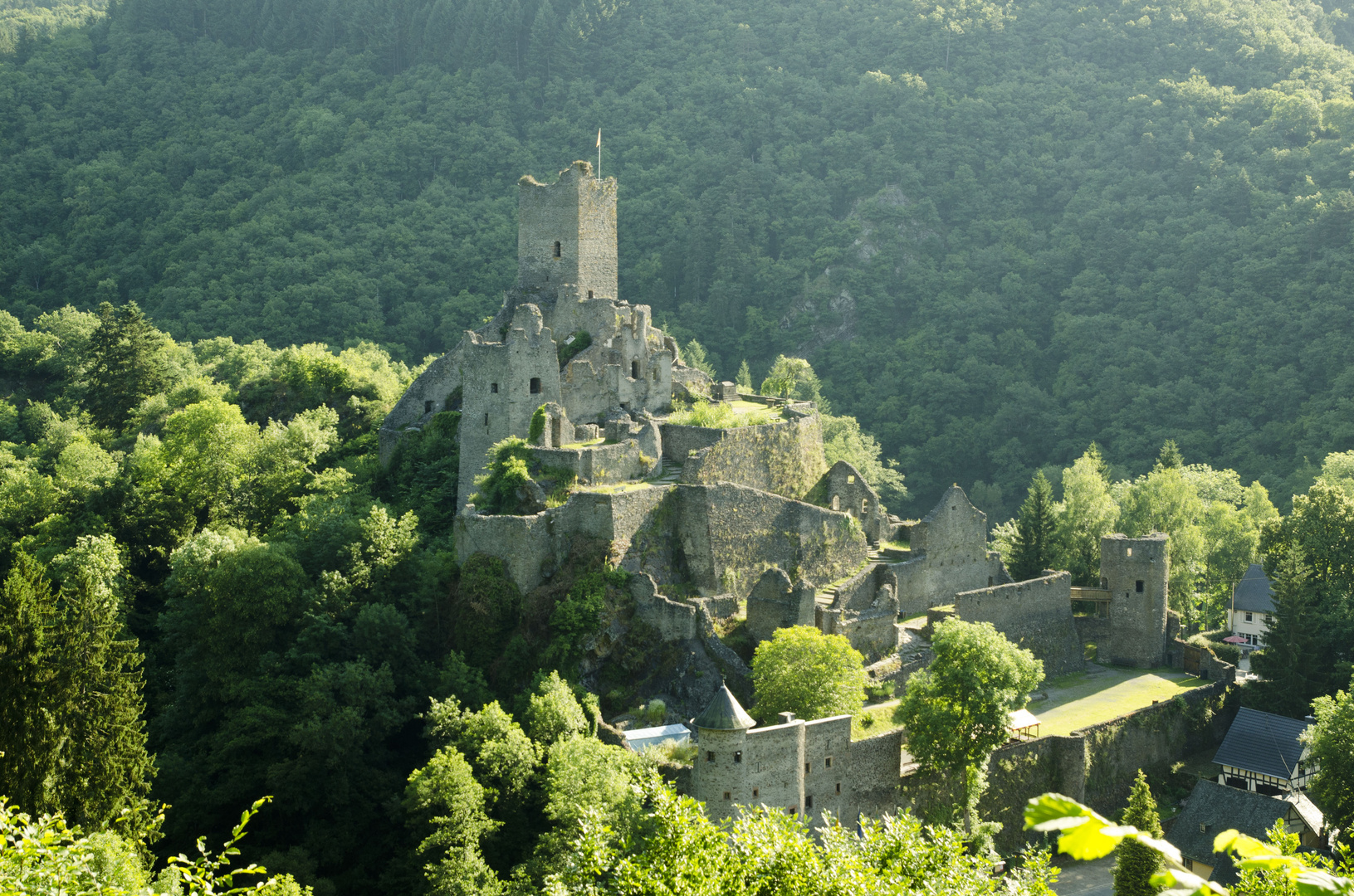 Manderscheider Niederburg