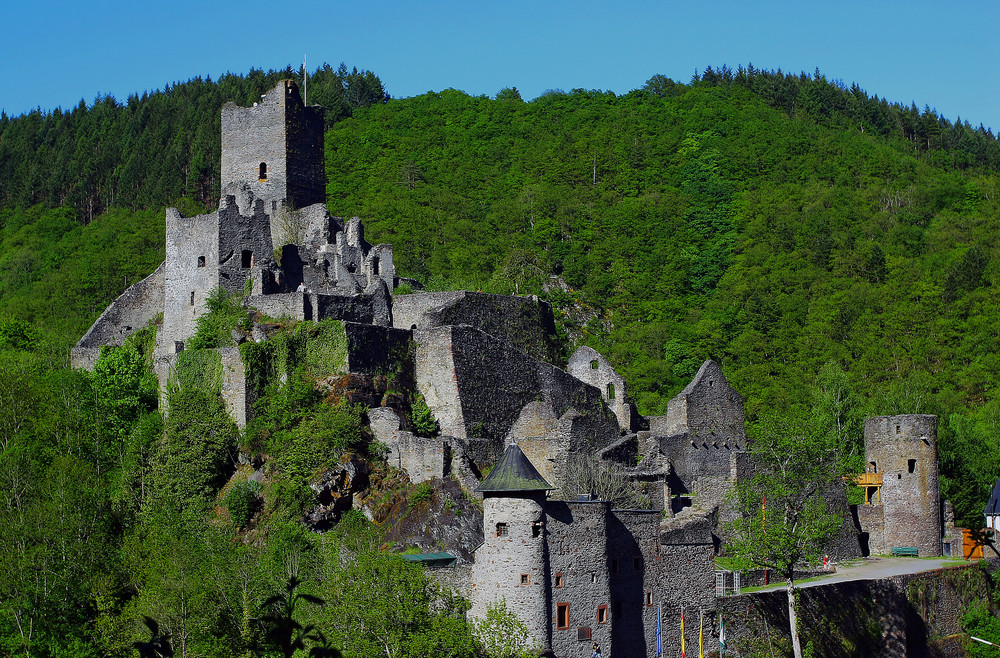 Manderscheider Niederburg