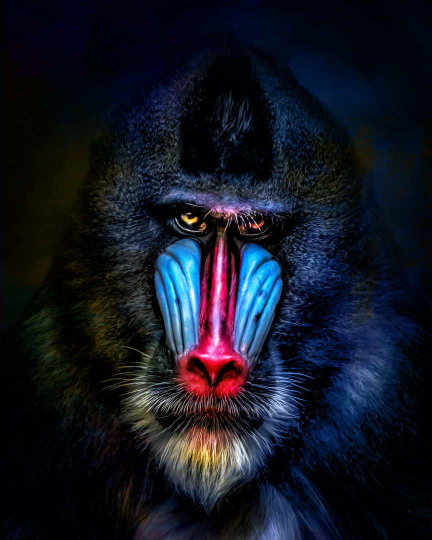 Mandrill