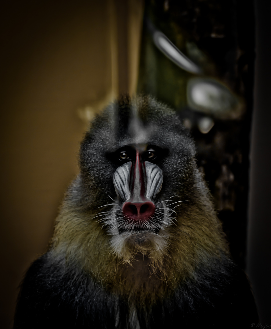 Mandrill