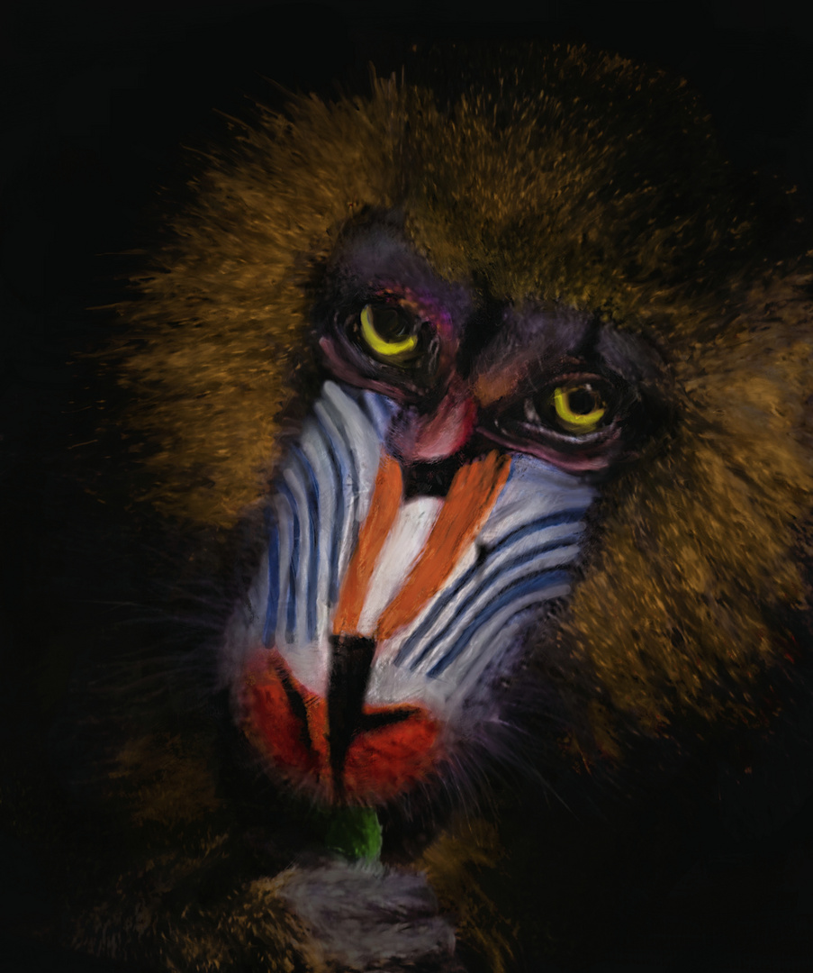 mandrill paint