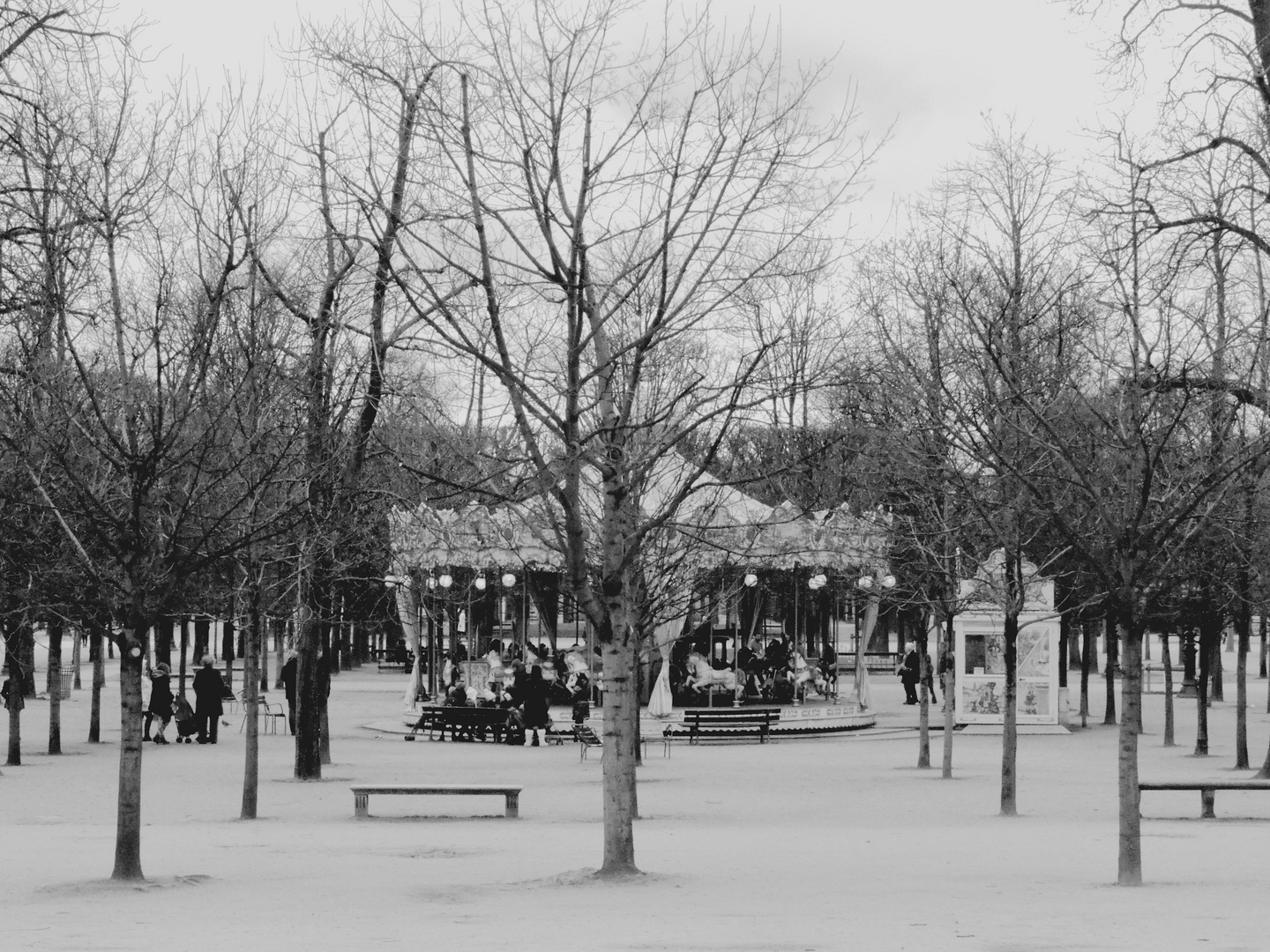 Manège parisien