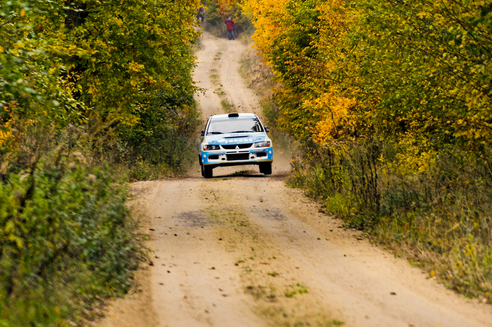 Manfred Stohl in "Little Finnland" (Waldviertel Rallye)