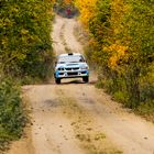 Manfred Stohl in "Little Finnland" (Waldviertel Rallye)