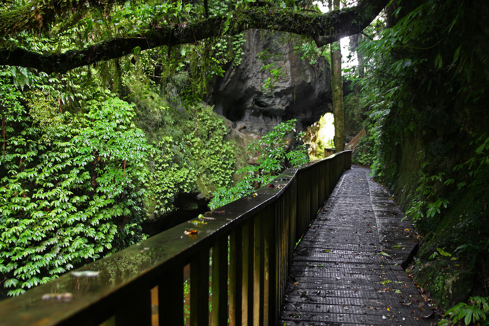 Mangapohue Natural Bridge