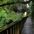 Mangapohue Natural Bridge