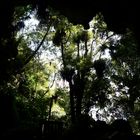 Mangapohue Natural Bridge