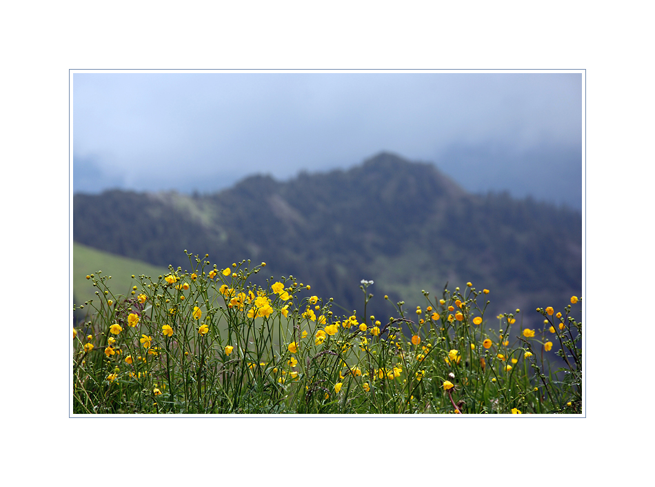 mangels Landschaft Ausflug in die Flora