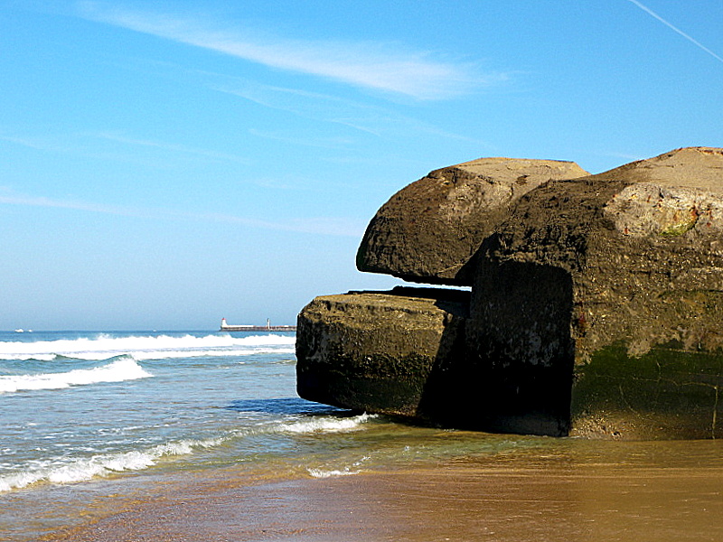 manger sur le pouce à la plage...Un p'tit Croque -Monsieur ??!!