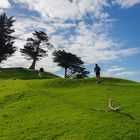 Mangere Mountain