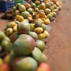 Mango Season