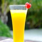 Mangosaft