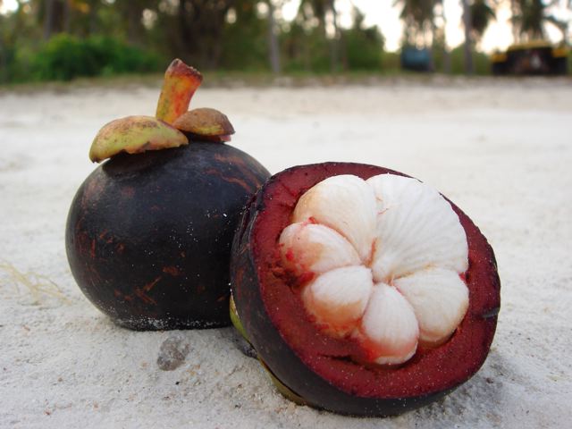 Mangosteen