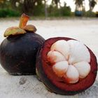 Mangosteen