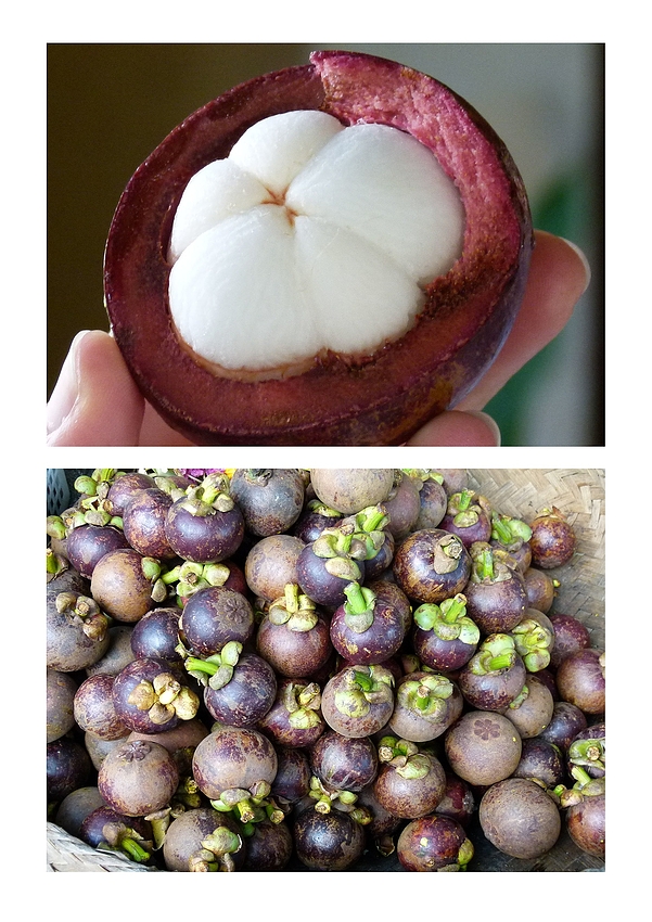 ...Mangosteen...