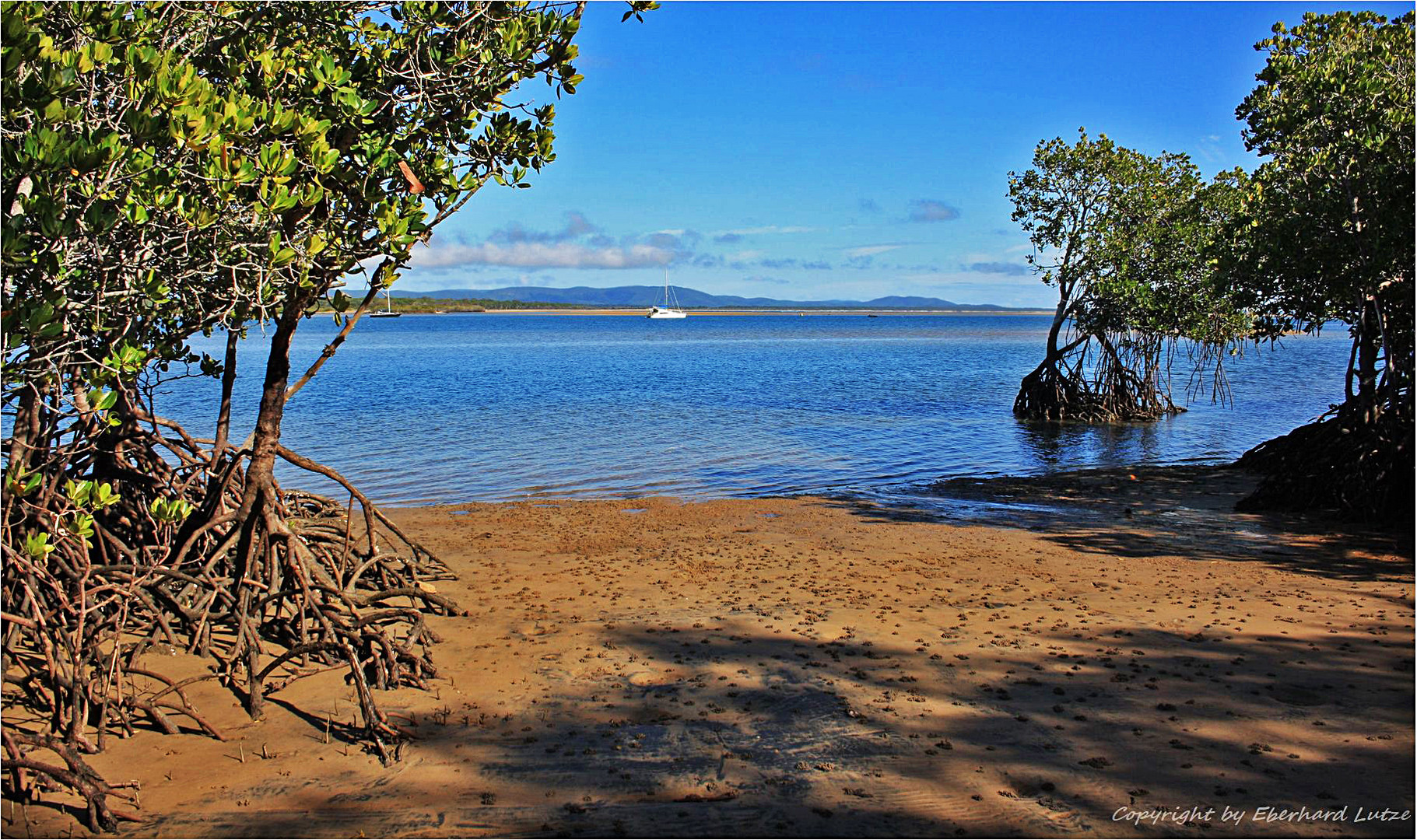 * Mangrove Beach / 1770 Waters *