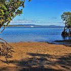 * Mangrove Beach / 1770 Waters *