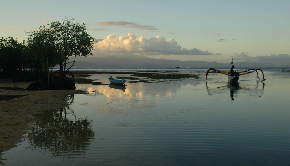 Mangrove Beach vol. III