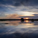 Mangrove Sunset