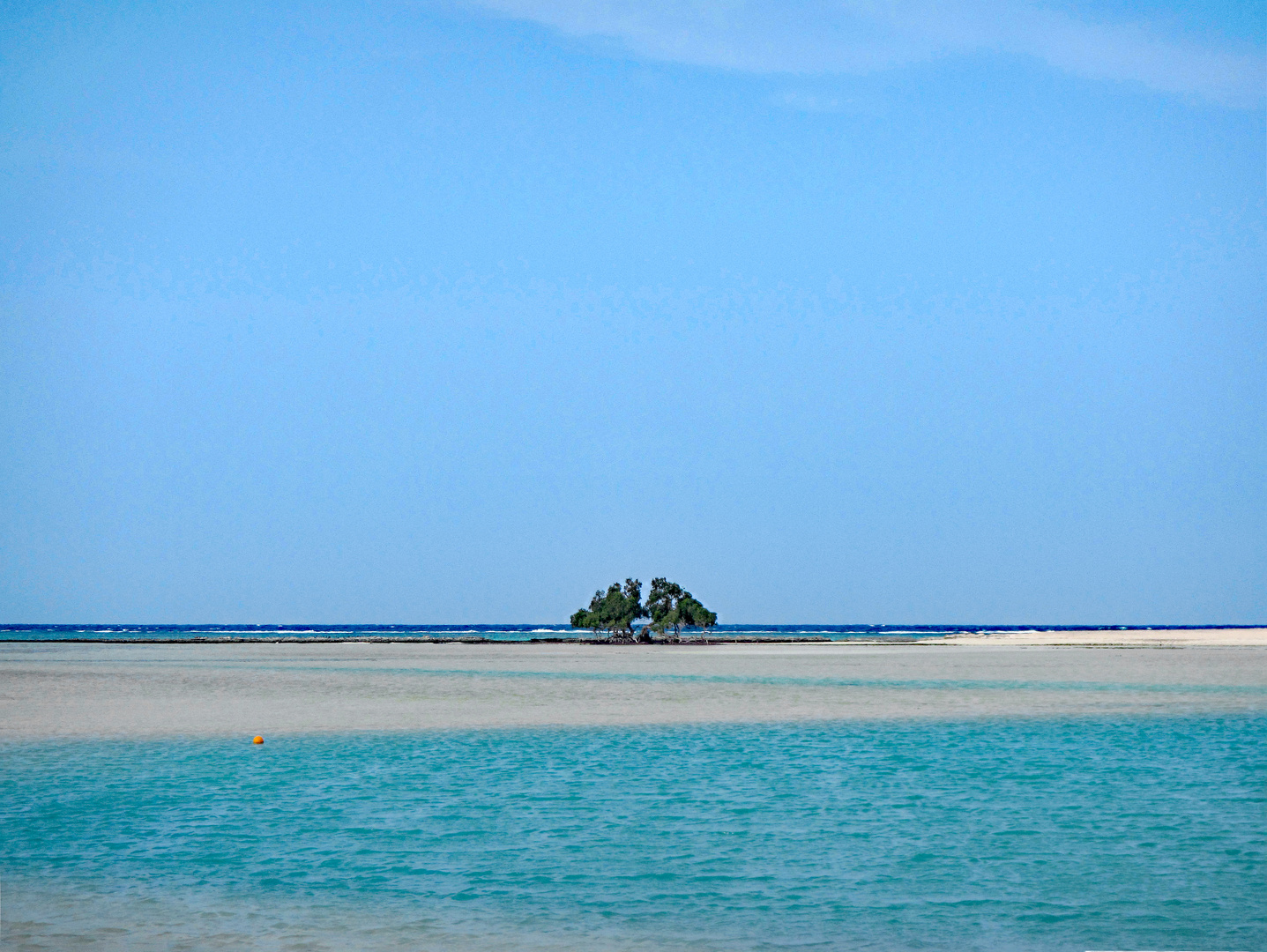 Mangroven Insel