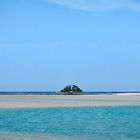 Mangroven Insel