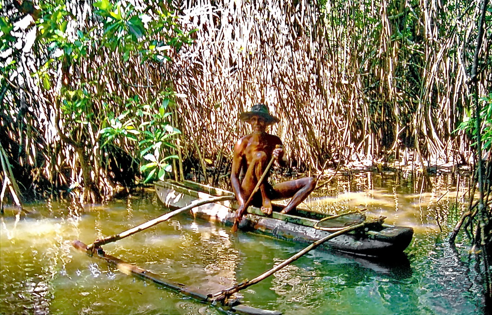 Mangrovenbewohner in Sri Lanka