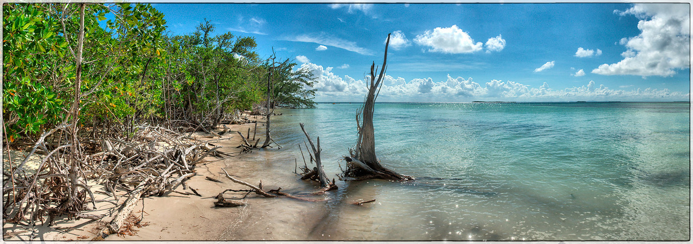 Mangrovenstrand