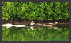 Mangrovenwald Andamanisches Meer