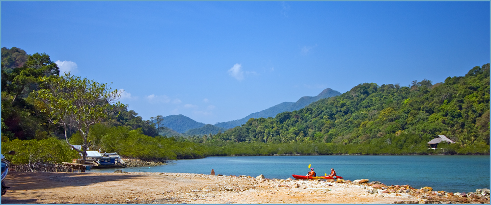 Mangrovenwald auf Ko Chang