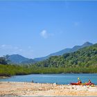 Mangrovenwald auf Ko Chang