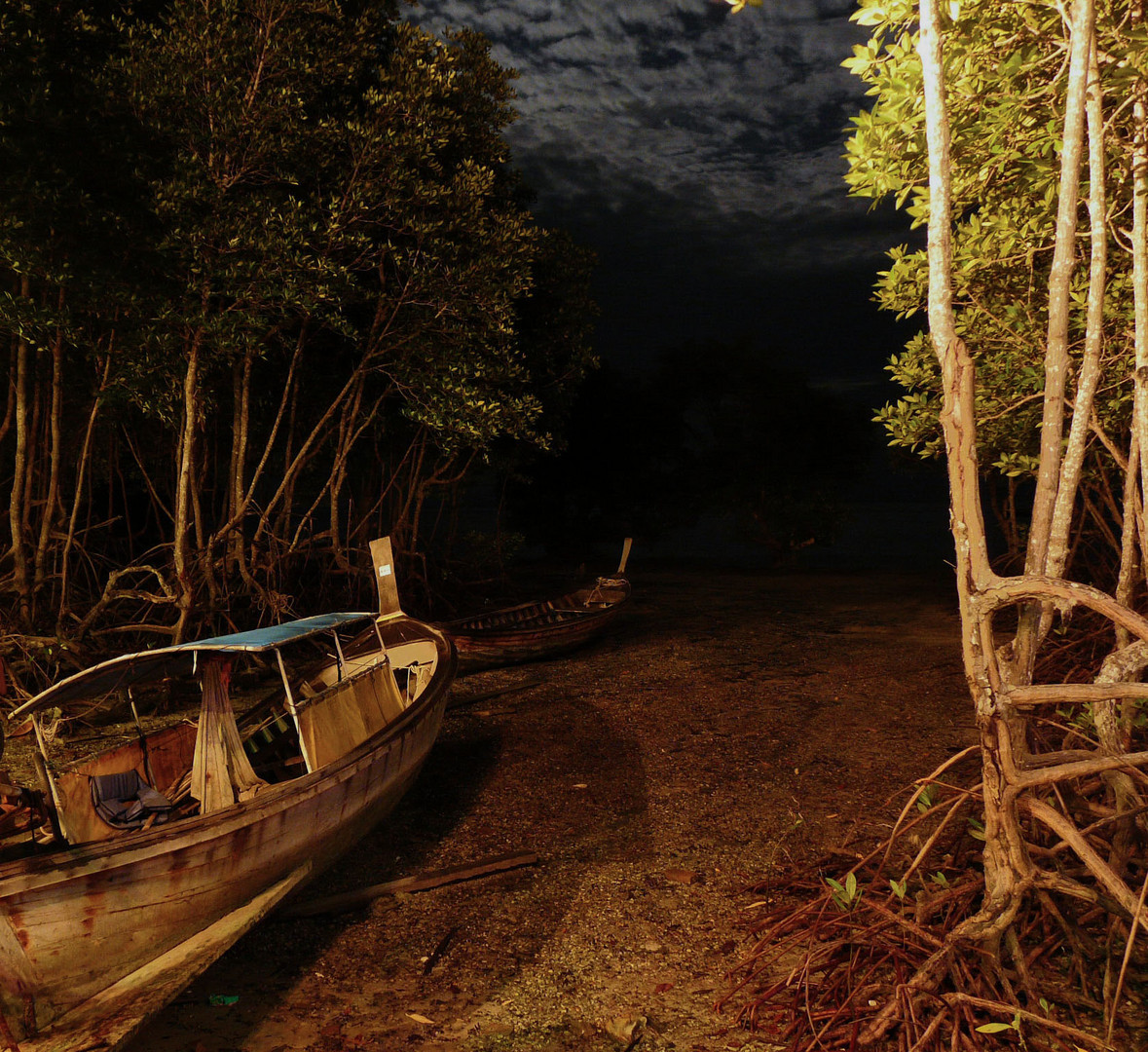 mangroves...