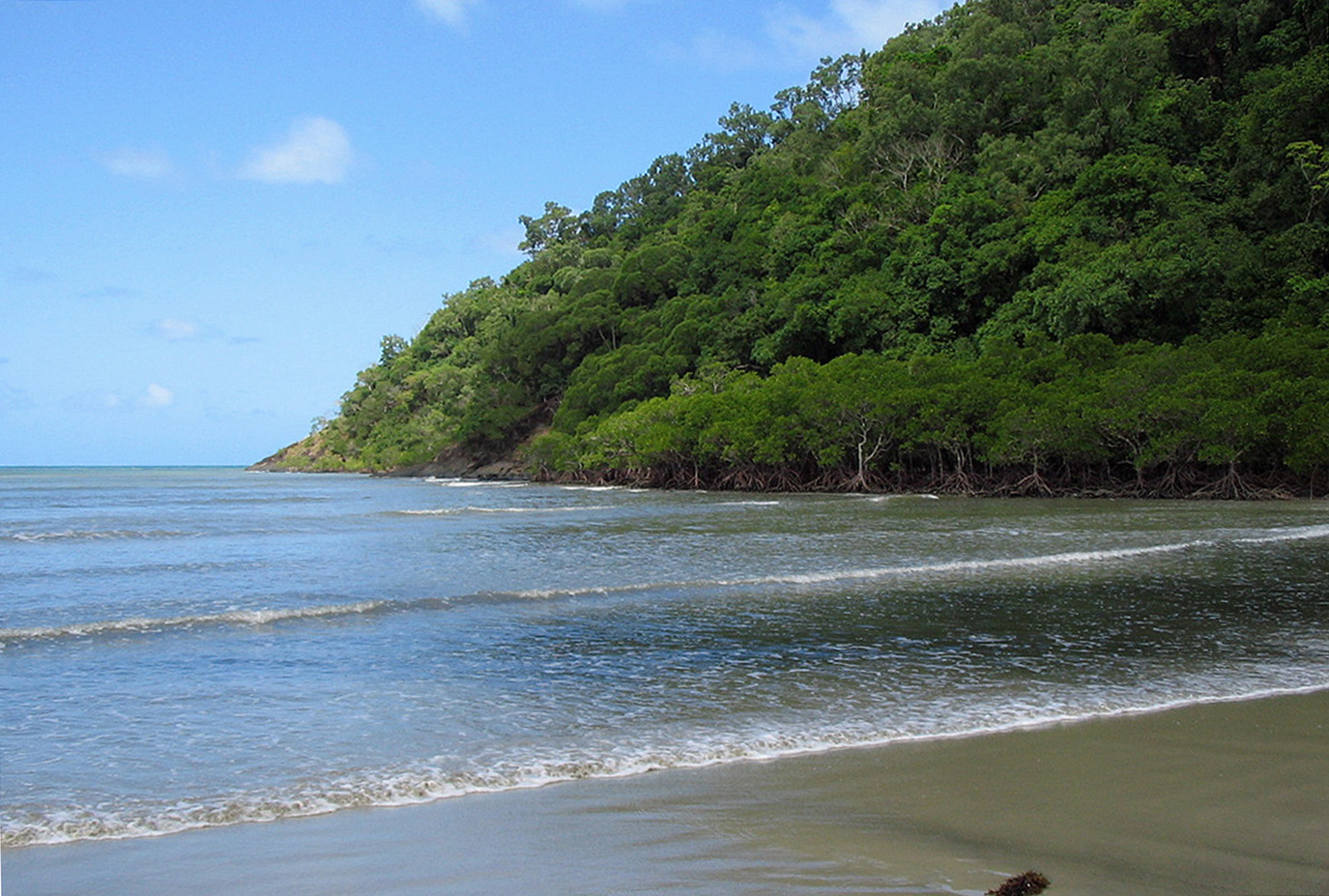 Mangroves