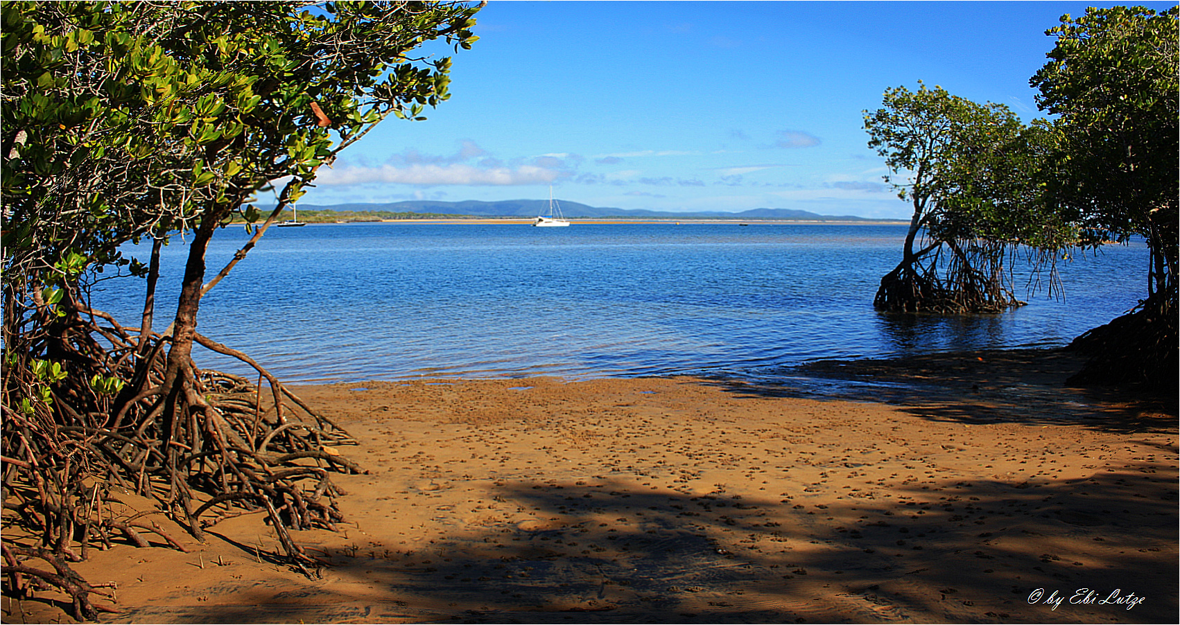 ** Mangroves Beach 1770 **