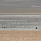 Manhattan Beach Surfer