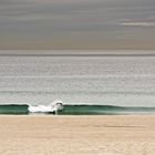 Manhattan Beach Surfer