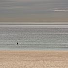 Manhattan Beach Surfer