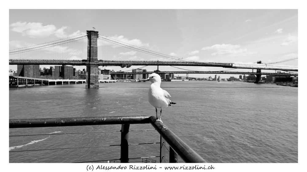 Manhattan Bridge