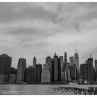 Manhatten Skyline