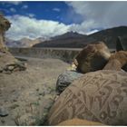 Mani Steine im Zanskar Tal